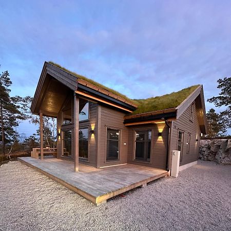 Modern Northern Lights Cabin Drangedal Eksteriør billede