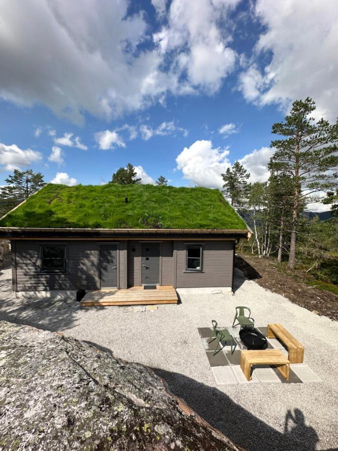 Modern Northern Lights Cabin Drangedal Eksteriør billede