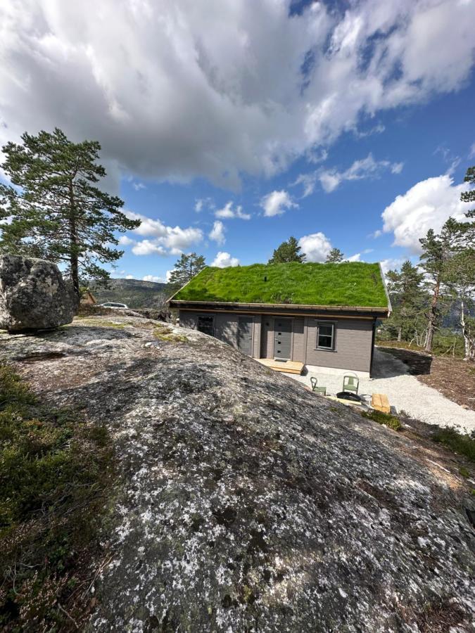 Modern Northern Lights Cabin Drangedal Eksteriør billede