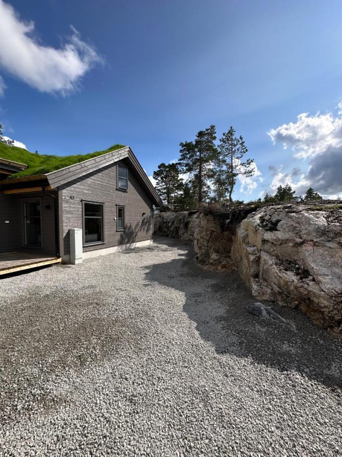 Modern Northern Lights Cabin Drangedal Eksteriør billede