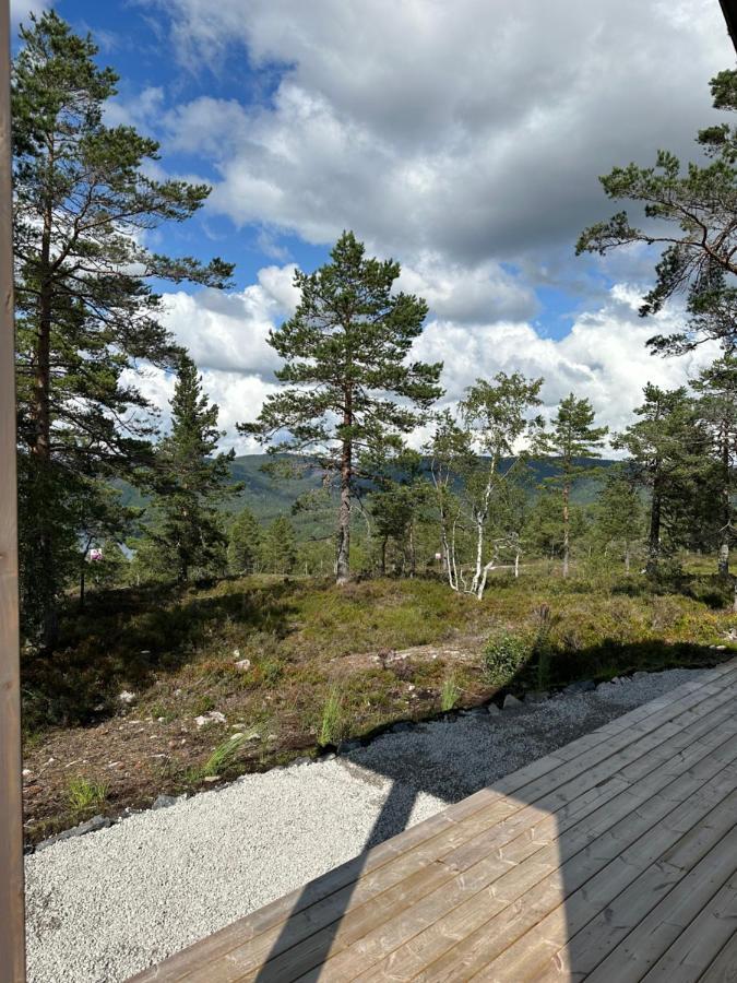 Modern Northern Lights Cabin Drangedal Eksteriør billede