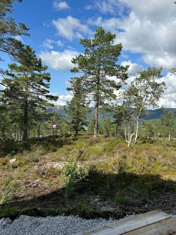 Modern Northern Lights Cabin Drangedal Eksteriør billede
