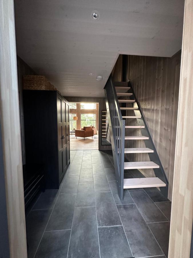 Modern Northern Lights Cabin Drangedal Eksteriør billede