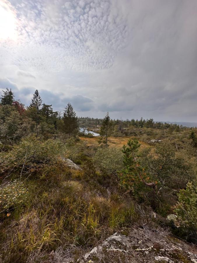 Modern Northern Lights Cabin Drangedal Eksteriør billede
