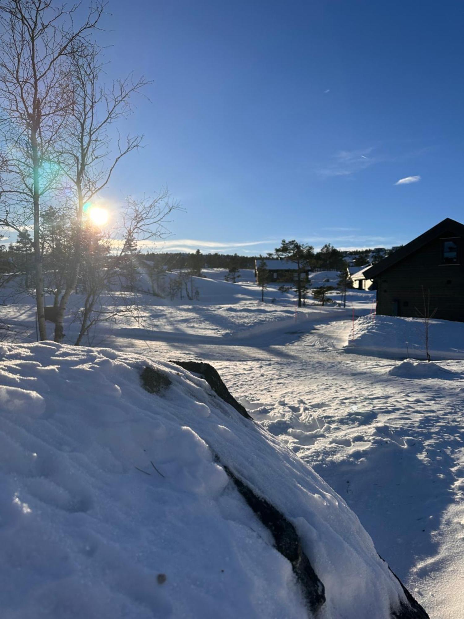 Modern Northern Lights Cabin Drangedal Eksteriør billede