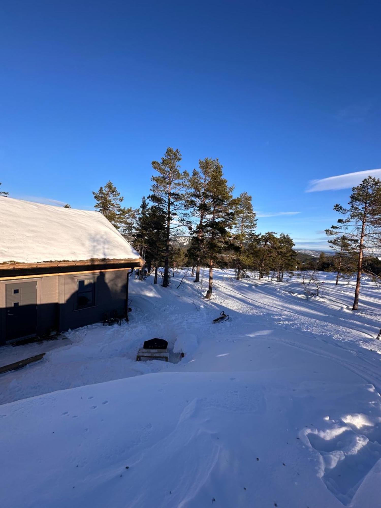 Modern Northern Lights Cabin Drangedal Eksteriør billede