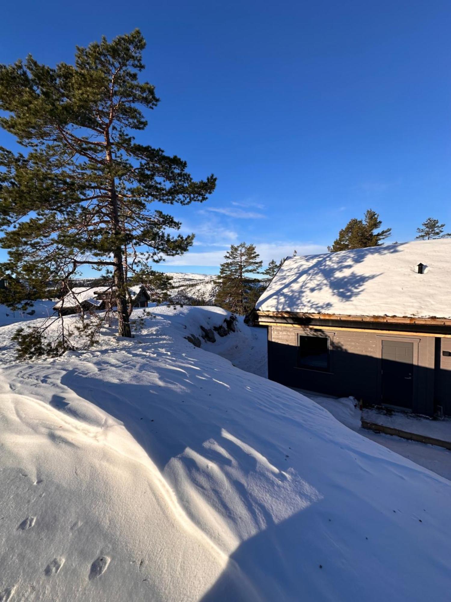 Modern Northern Lights Cabin Drangedal Eksteriør billede