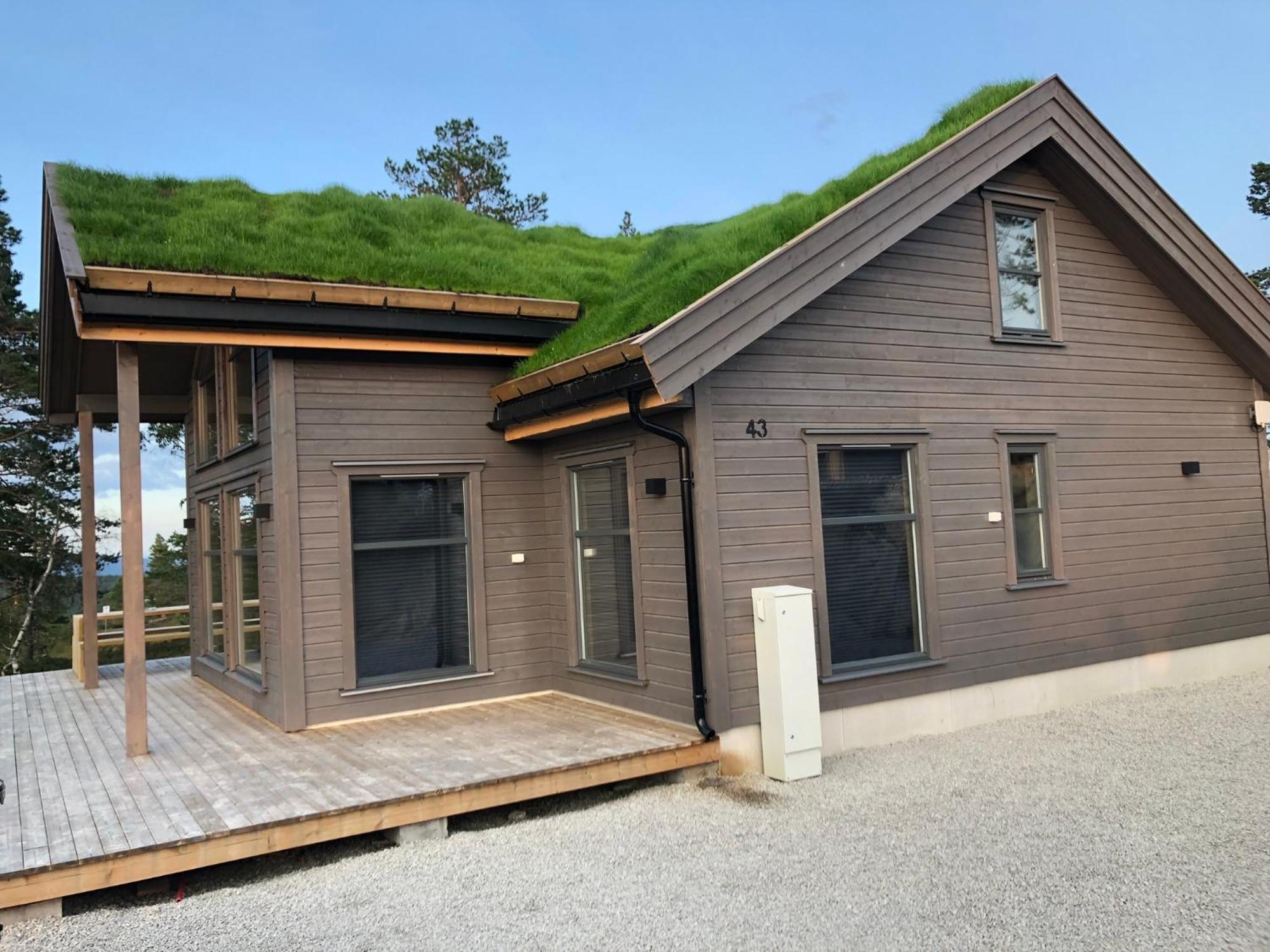 Modern Northern Lights Cabin Drangedal Eksteriør billede