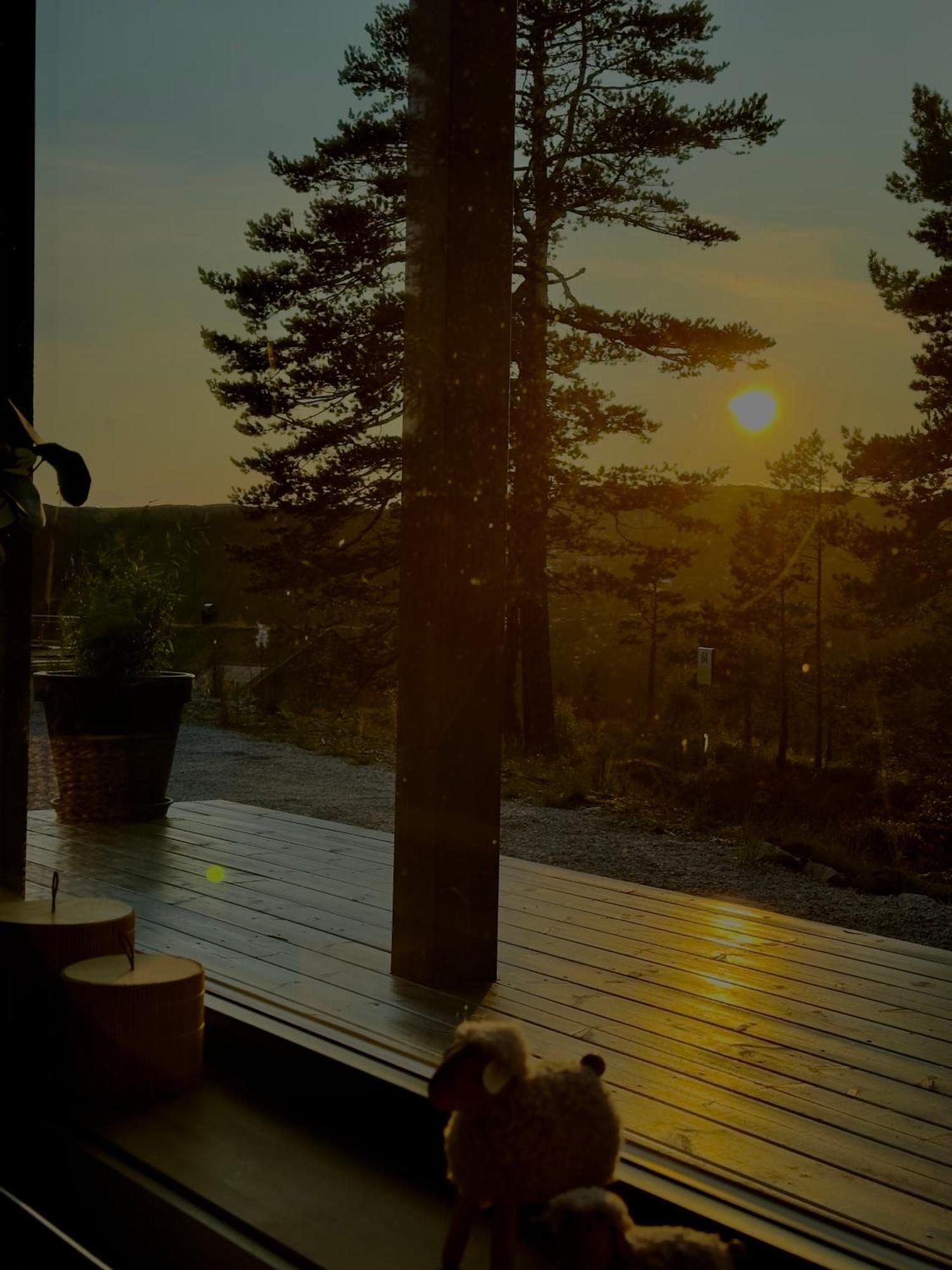Modern Northern Lights Cabin Drangedal Eksteriør billede