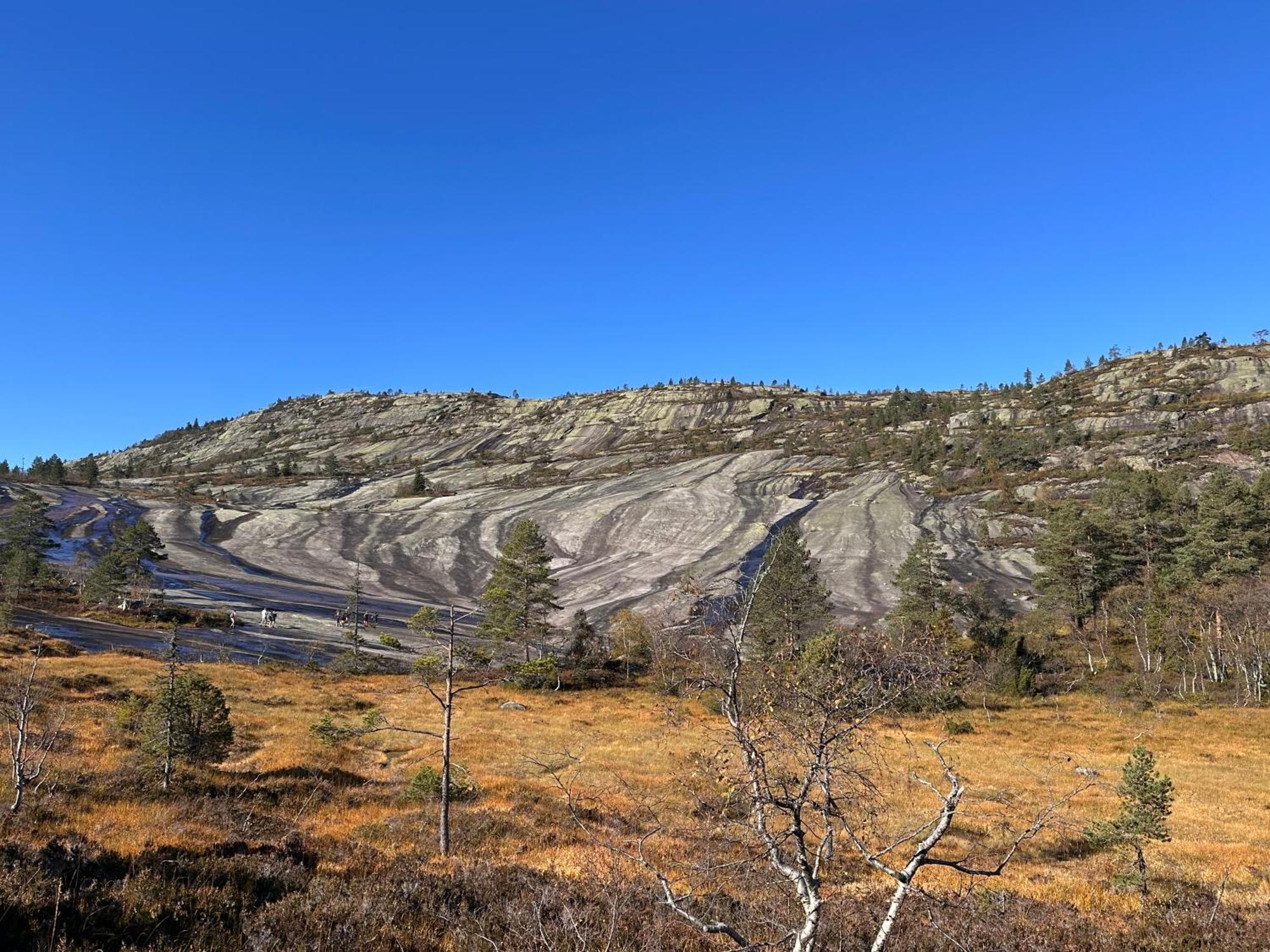 Modern Northern Lights Cabin Drangedal Eksteriør billede