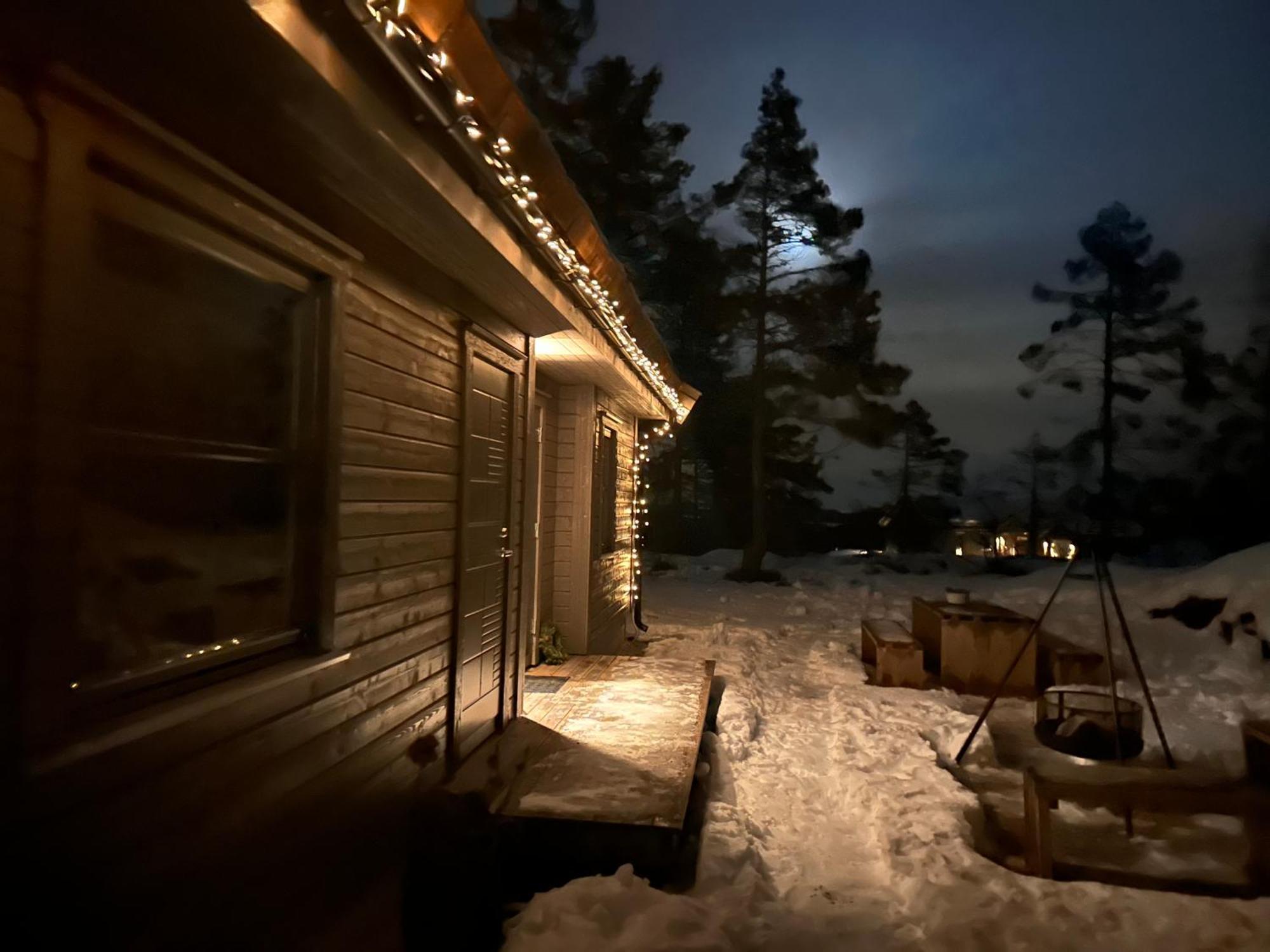 Modern Northern Lights Cabin Drangedal Eksteriør billede
