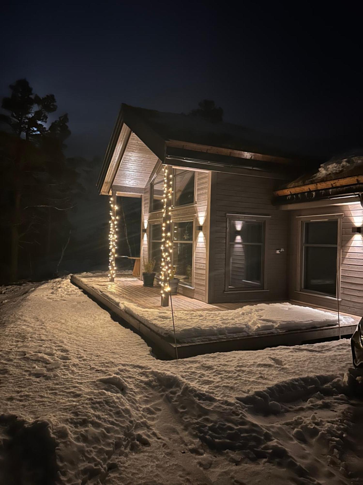 Modern Northern Lights Cabin Drangedal Eksteriør billede
