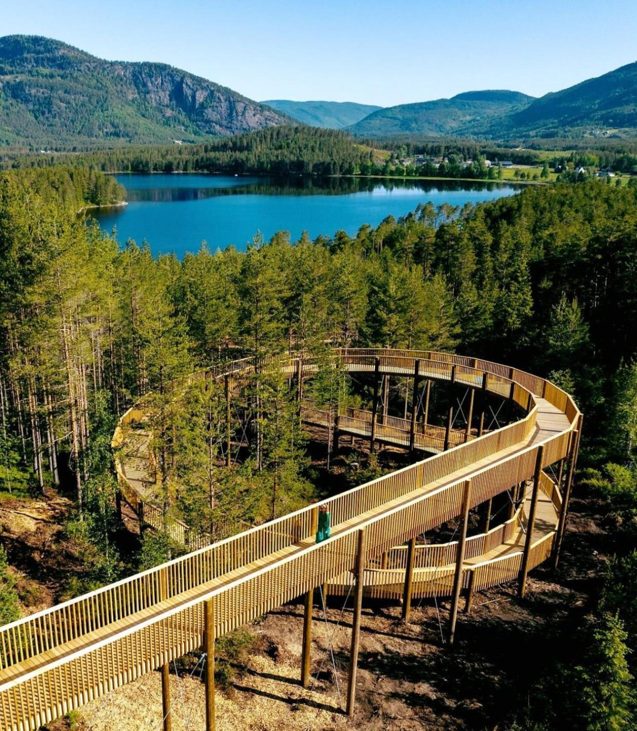 Modern Northern Lights Cabin Drangedal Eksteriør billede